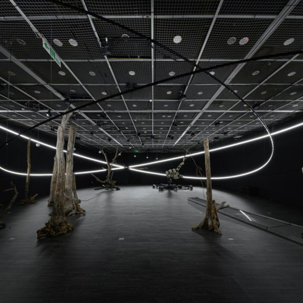 Wide installation view with tree trunks, a mechanical hand and curved white light in a dark room.