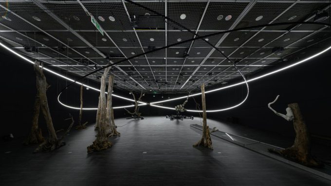 Wide installation view with tree trunks, a mechanical hand and curved white light in a dark room.