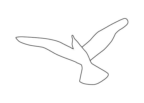 Silhouette B