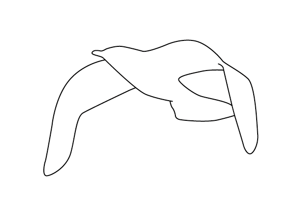 Silhouette D