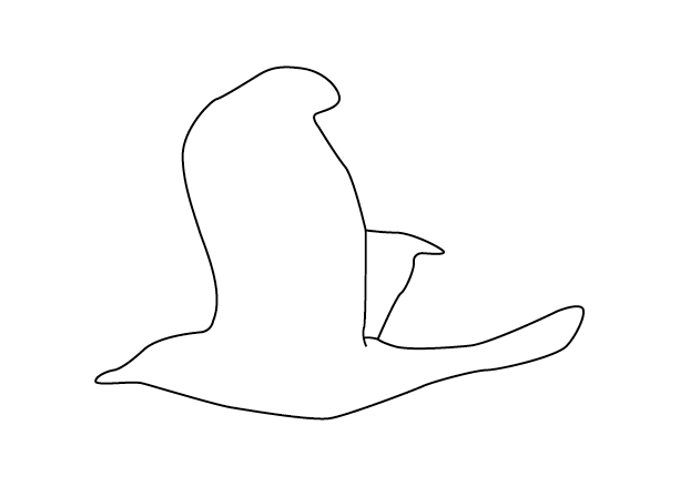 Silhouette G