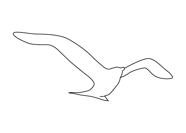 Silhouette K