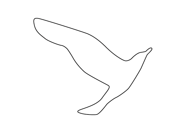 Silhouette N
