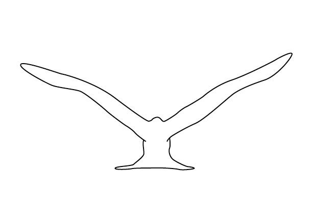 Silhouette O