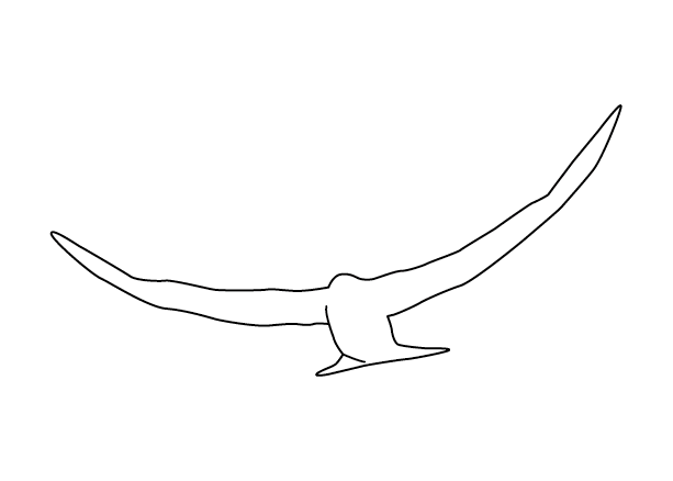 Silhouette R