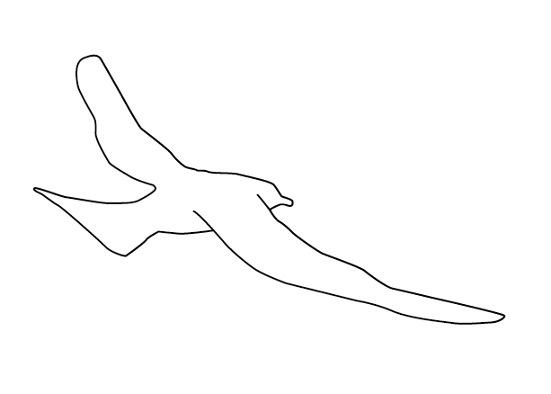Silhouette S