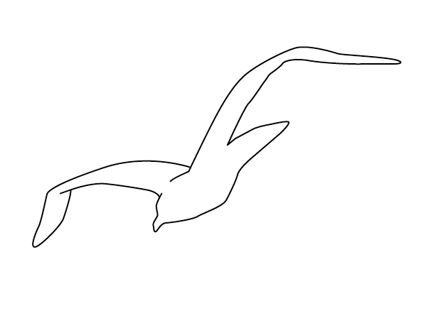 Silhouette T
